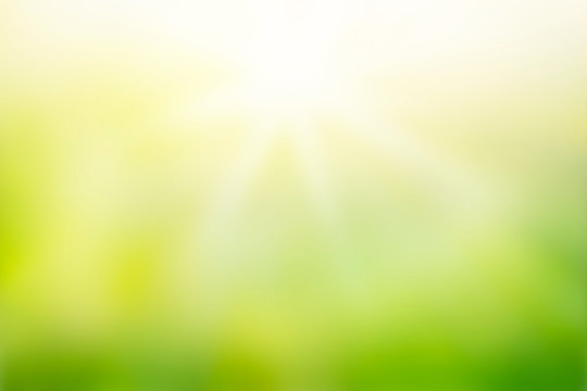 Sunlight With Abstract Blurred Green Nature Background