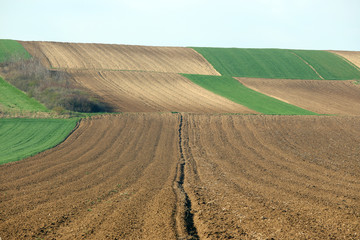 Fototapeta premium Plowed field agriculture landscape Voivodina Serbia