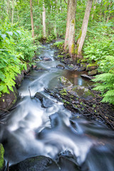 Small Swedish brook in summer scenery