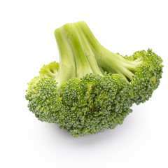 Broccoli isolated on a white background.