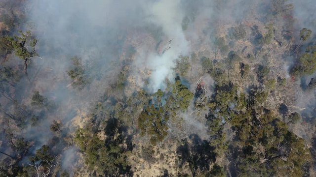 Bushfire in Australia. Drought and Climate Change increase likelihood of these forest fires. 