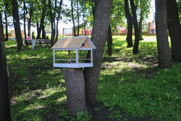 bird feeder house in Park garden