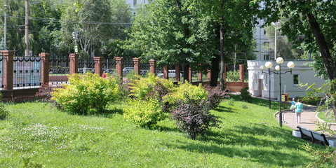 landscape design in the Park and garden design