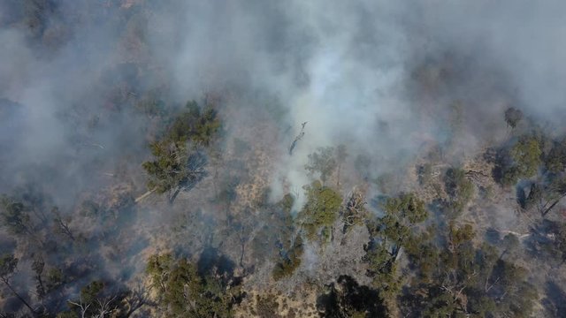 Bushfire in Australia. Drought and Climate Change increase likelihood of these forest fires. 