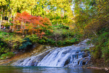 日本の秋のイメージ：首都圏を代表する紅葉の名所であり千葉のシンボルの養老渓谷の名瀑　粟又の滝の風景