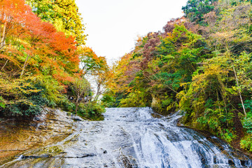 日本の秋のイメージ：首都圏を代表する紅葉の名所であり千葉のシンボルの養老渓谷の名瀑　粟又の滝の風景