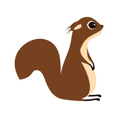 squirrel on white background