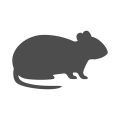 Rat silhouette on white background. Vector icon.