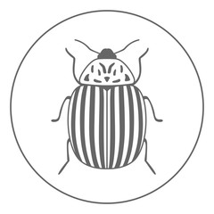 Colorado bug icon. Potato pest symbol. Vector.