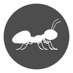 Ant icon. Insect symbol. Vector.