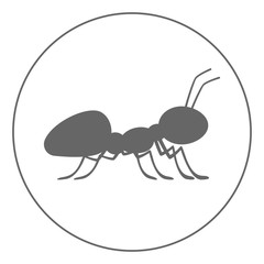 Ant icon. Insect sign. Vector.