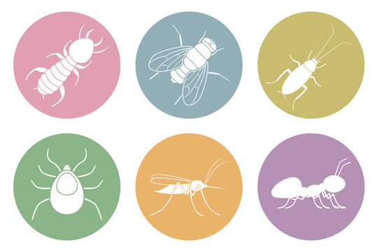 Set Of Household Pest Icons. Cockroach, Termite, Mosquito, Fly, Ant And Tick. Vector.