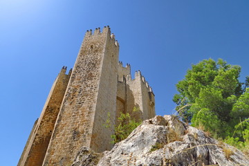 Fototapeta na wymiar Chateau de Velez Blanco. Espagne.