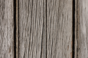 Textured wooden panel. Old door detail in a rural house. wood texture in natural color.