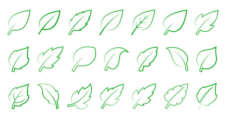 Green leaf set
