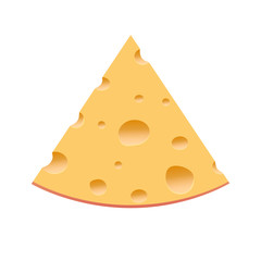 Piece of cheese on a white background. Vector illustration