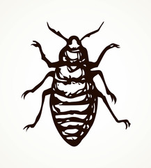 Beetle. Larva. Vector drawing