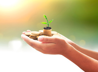 Pension fund concept: Human hands save holding stack of golden coin with small tree on blurred...