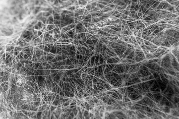 Macro Image of Black and White Cat Hair Collected After Grooming Session.