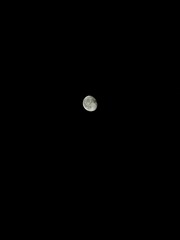 The moon