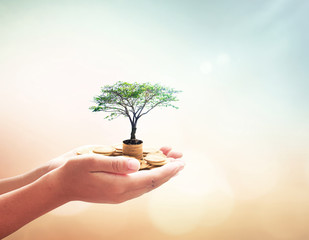 Government pension fund concept: Human hands holding stacks of golden coins and growth tree on...