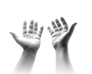 Black and white two open empty hands with palms up, isolated on white background