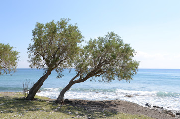 Dionyssos Beach, Kreta