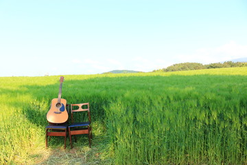 제주에 있는 청보리 밭의 풍경이다.