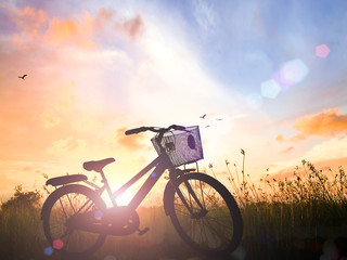 Obraz premium rower na łące zachód słońca