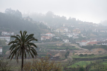 EUROPE PORTUGAL DOURO ENTRE OS RIOS