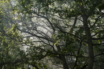 EUROPE PORTUGAL DOURO LANDSCAPE
