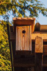 wooden aviary on a shack