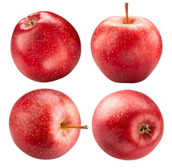 Red apple collection isolated on white. Apple Clipping Path. Apple professional studio macro shooting