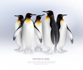 Obraz na płótnie Canvas Penguins Realistic Composition 