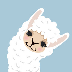 Fototapeta premium Cute lama alpaca head vector