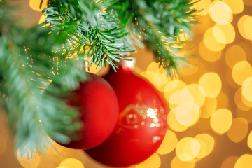 Red christmas ball hanging on fir tree branch over golden bokeh lights background