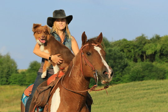 Westernreiterin mit Pferd und Hund