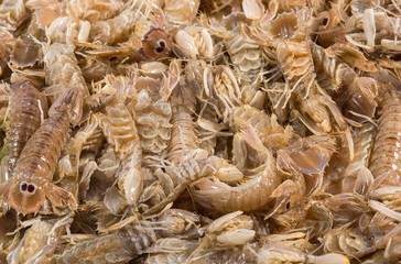 Mantis Shrimp at the fish market as background