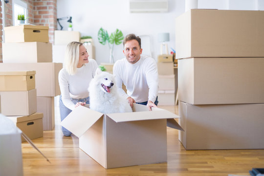 Young beautiful couple with dog sitting on the floor at new home around cardboard boxes