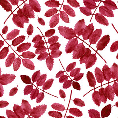 Watercolor bright rose leaves seamless pattern. Hand drawn bright red autumn plants illustration on white background for home decor, textile, wrapping paper, print, decoration, cards.
