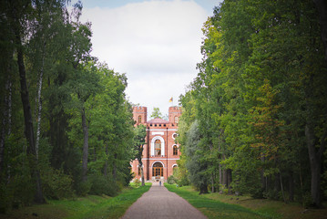 Obraz premium castle in the forest road
