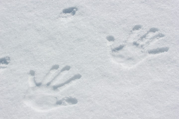 Human handprint in the snow