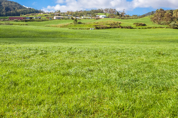 paysage rural, Plaine des Cafres, île de la Réunion 