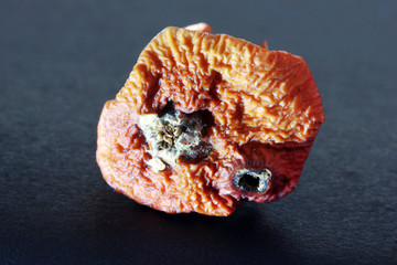dried apples on color background
