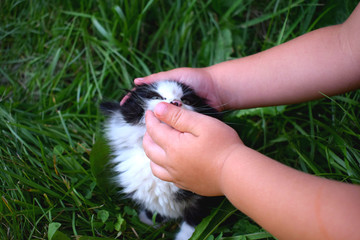 child stroking kitten