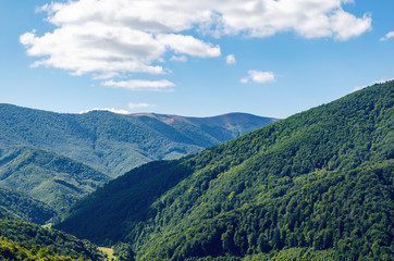Naklejka na ściany i meble Carpathian landscape with forest slopes, mountain ranges and peaks. Holidays in the mountains