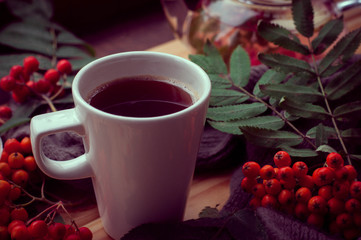 hot autumn tea with Rowan berries and scarf. Warm atmosphere