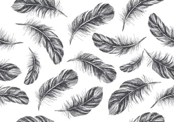 Feathers on white background. Hand drawn sketch style. 