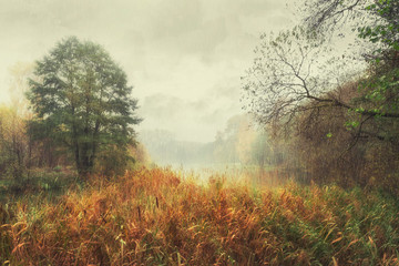 Fototapeta na wymiar Rainy autumn day. Trees in the fog. Vintage landscape