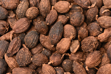 Black cardamom on a white background 